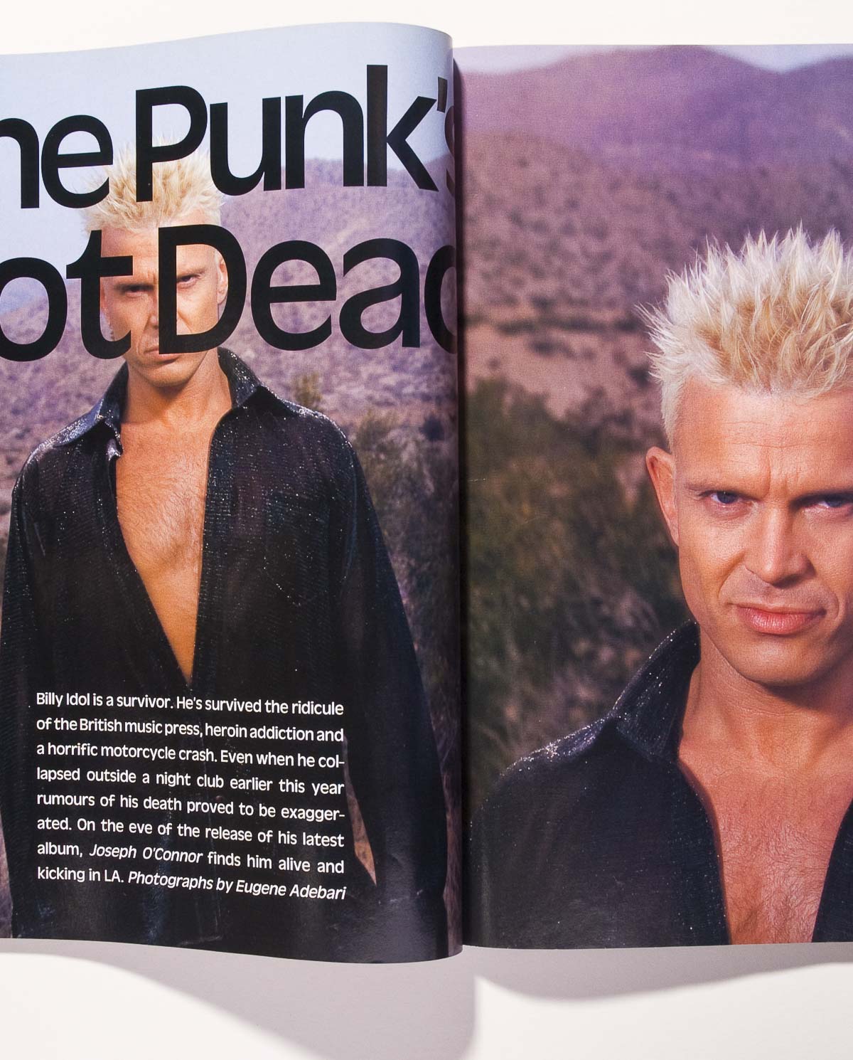 Arnold Schwarzenegger BILLY IDOL Shana Zadrick SHERILYN FENN Esquire 1993 July