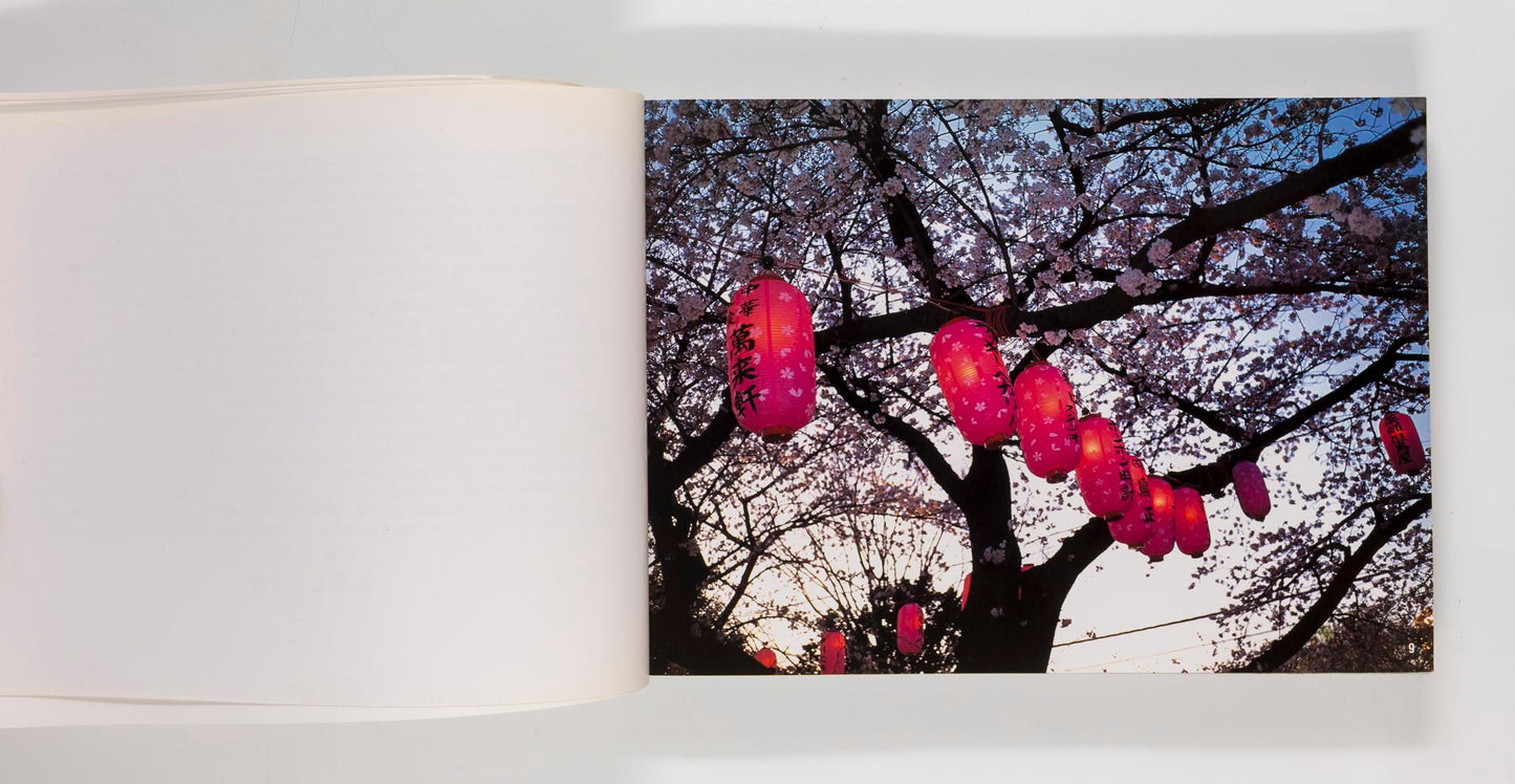 Signed by NAN GOLDIN Nobuyoshi Araki TOKYO LOVE 1st Edition 1994 book