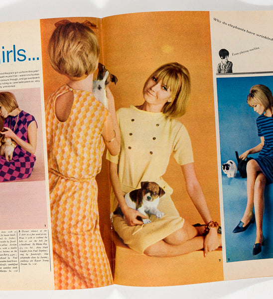 Honey Magazine UK March 1964 Plain girls Elephant Illustration Pets
