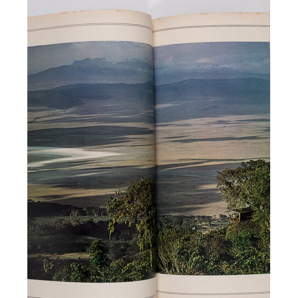 Britt Ekland ANTONIO LOPEZ Donna Jordan OCCULT Duane Michals ~ Esquire