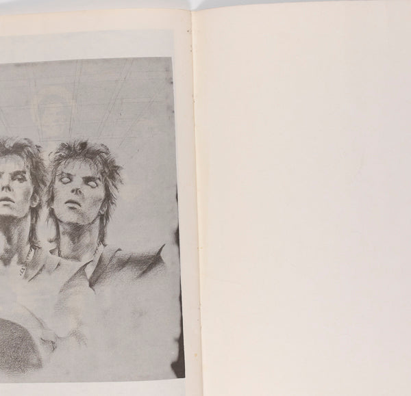 DAVID BOWIE Lives & Times BOOK Bootleg Zine MICK ROCK magazine GLAM UK
