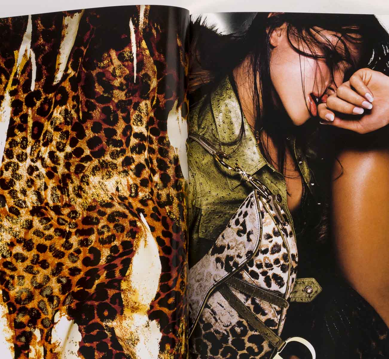 DIOR Raica Oliviera Accessories Lookbook Autumn Winter 2000-2001