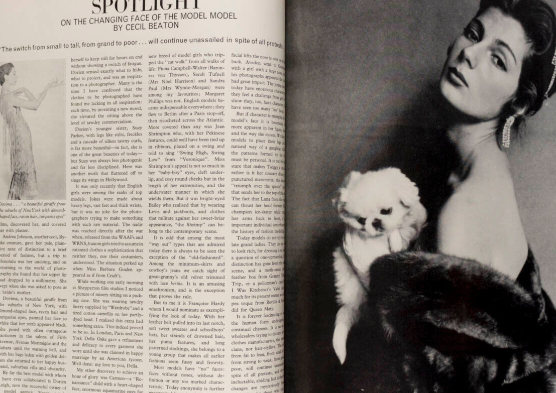Jean Shrimpton JILL KENNINGTON Lee Radziwill TWIGGY Fiona Campbell-Walter VOGUE