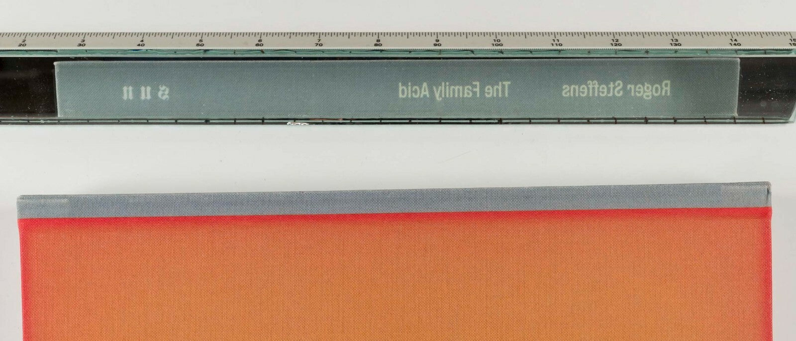 Signed ROGER STEFFENS photo book THE FAMILY ACID Limited Edition 1000 1st 2015