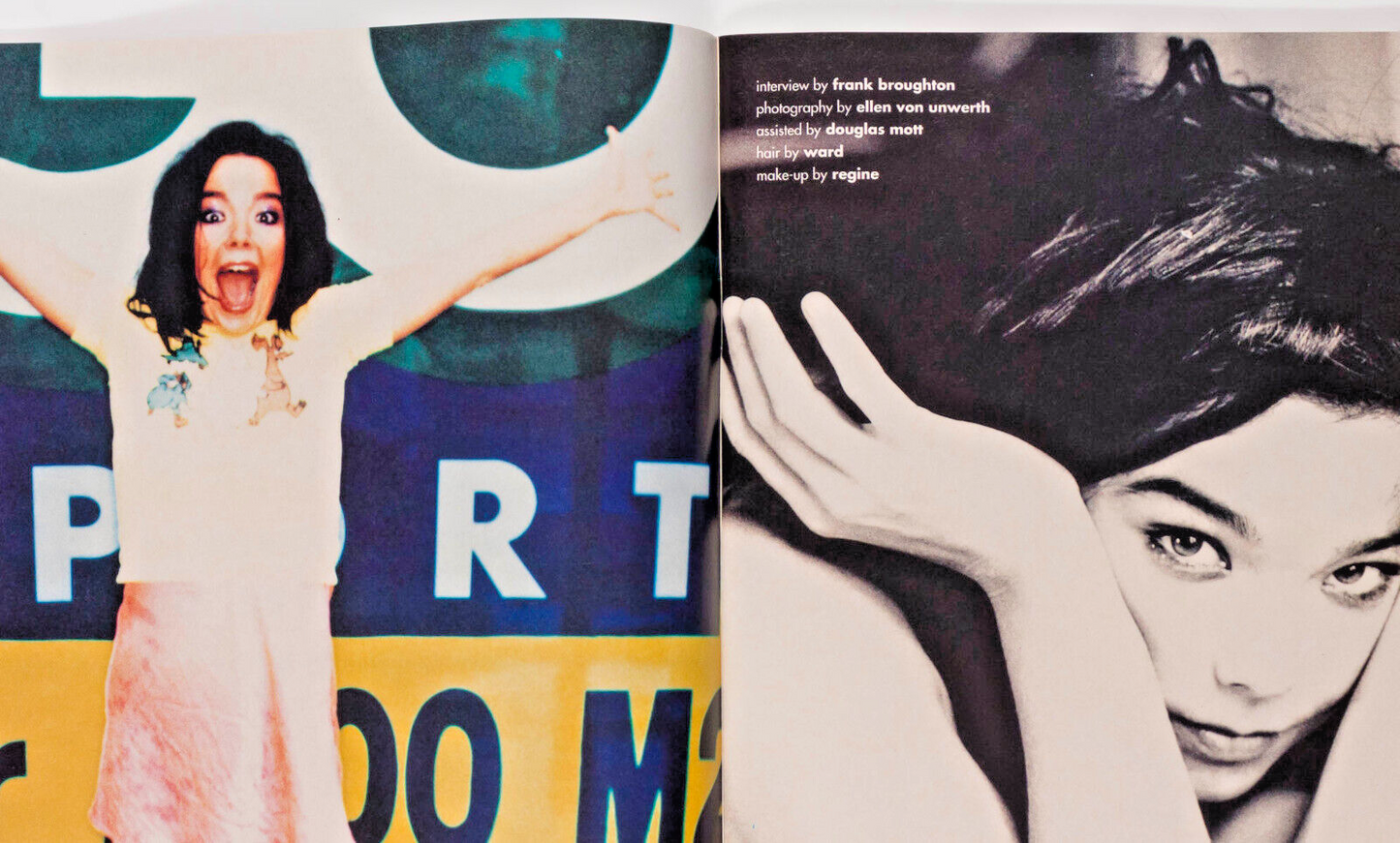 Bjork SOFIA COPPOLA Stella Tennant HELMUT LANG Chuck D WOLFGANG TILLMANS i-D 132