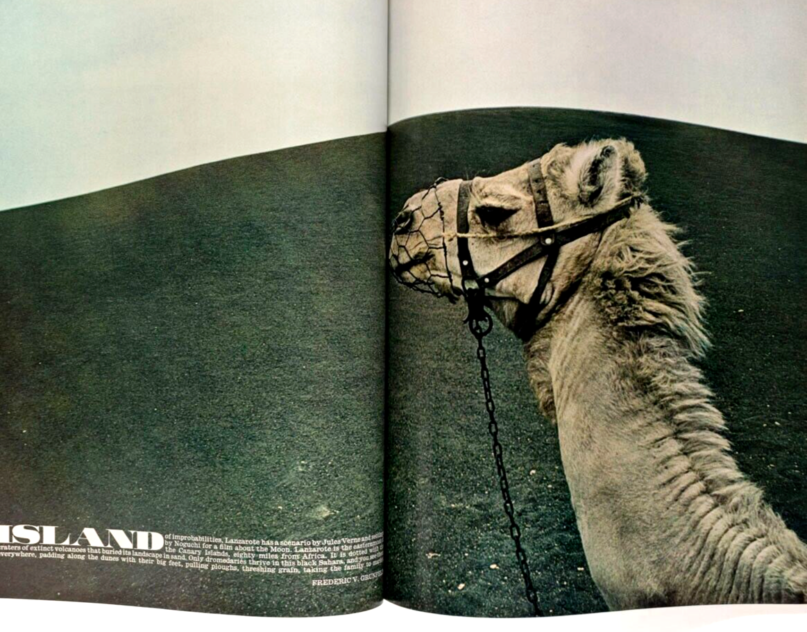 SAMANTHA JUSTE Jean Muir PATRICK HUNT Nik Cohn LANZAROTE Gucci ~ Queen magazine