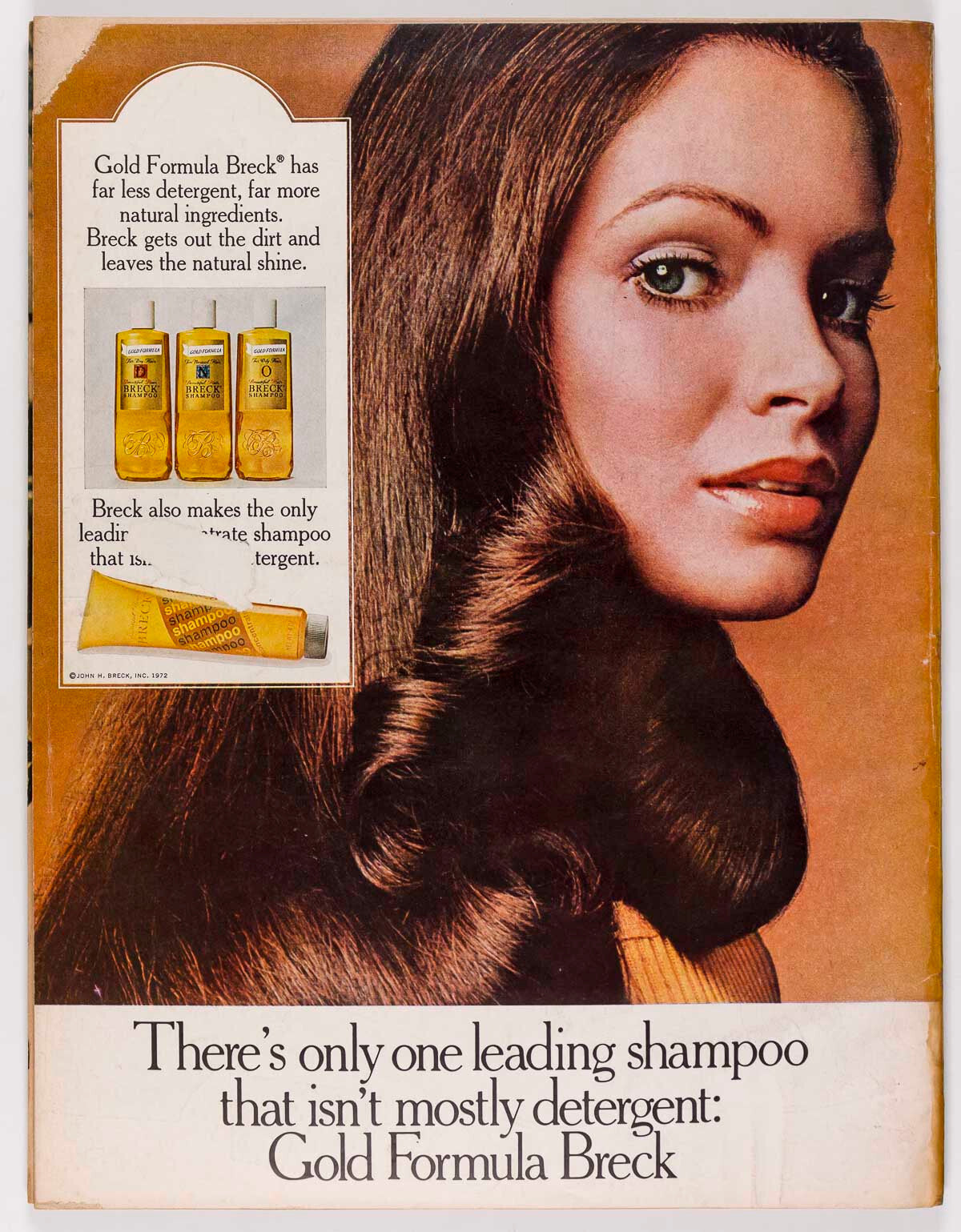 Barbra Streisand GEORGIA O'KEEFE Anjelica Huston SKI Carly Simon HARPER'S BAZAAR