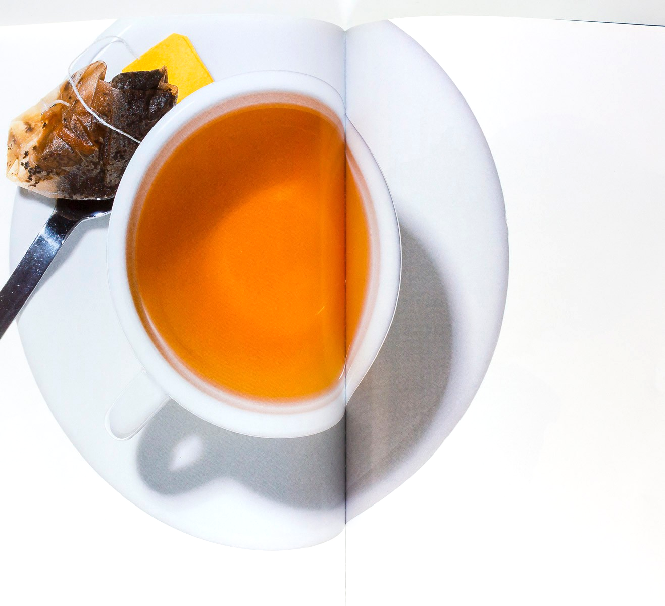 Elaine Constantine GEORGINA COOPER Gemma Kidd CITIZEN K magazine 2000 Beauty