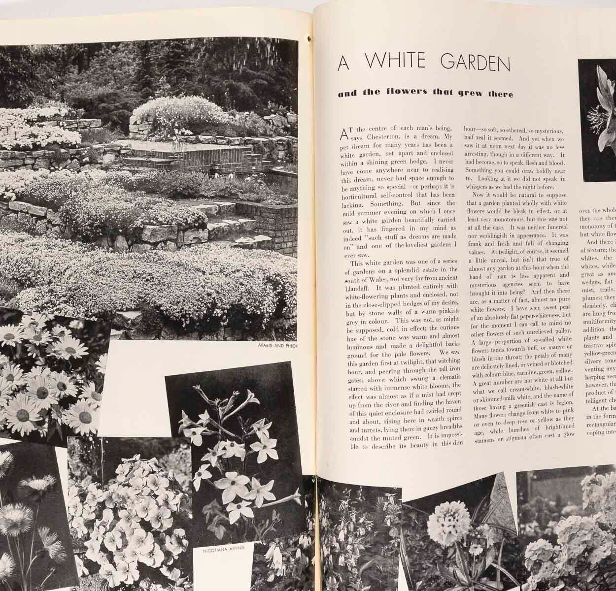EVELYN WAUGH Loretta Young CARL ERICKSON Cecil Beaton EIRE Hoyningen-Huene VOGUE