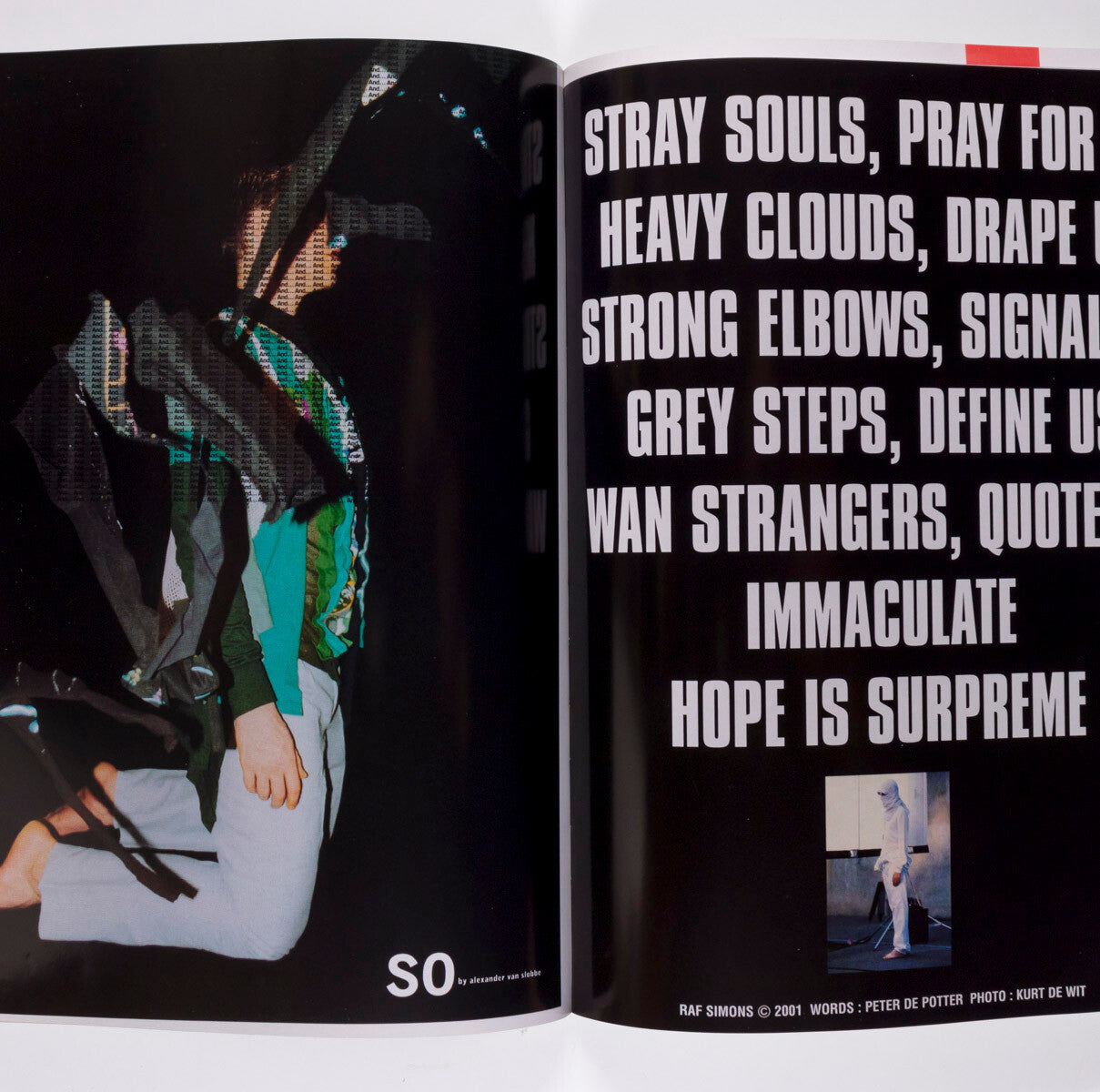The Ads of SELF SERVICE magazine BOOK 1994 - 2019 Chloe Sevigny HELMUT LANG Miu