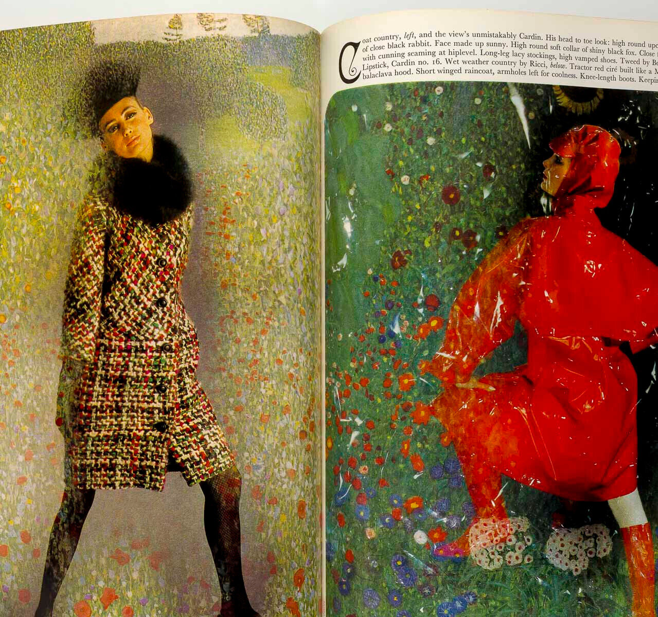 NORMAN PARKINSON Helmut Newton BERT STERN Klimt PENN Veruschka YSL Bailey  VOGUE