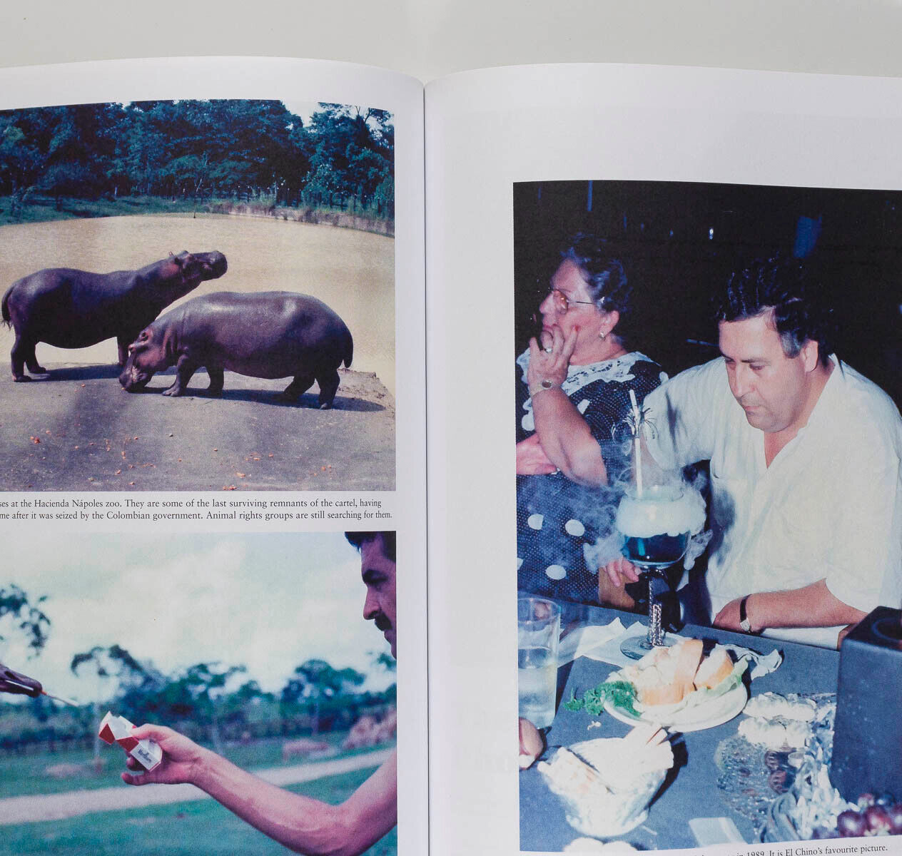 DASH SNOW tribute RYAN McGINLEY Nick Cave SID MARK Pablo Escobar ~ VICE magazine