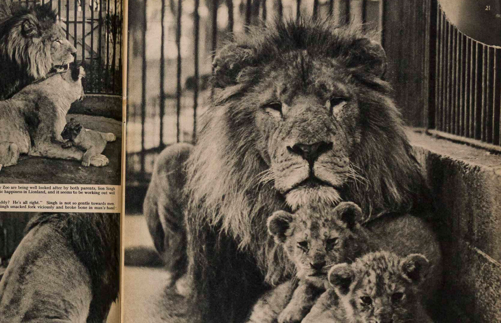 Vivien Leigh LAURENCE OLIVIER Orson Welles THIRD MAN Japan  ILLUSTRATED magazine