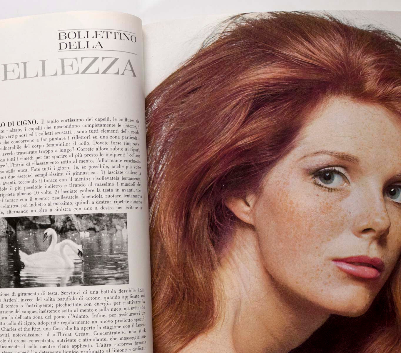 1st VOGUE ITALIA Benedetta Barzini VERUSCHKA Penn 1965 November NORMAN PARKINSON