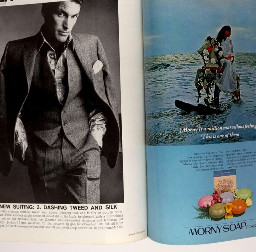 Van Rooy TWIGGY Veruschka VOGUE September 15 1967 Parkinson NEWTON Penelope Tree