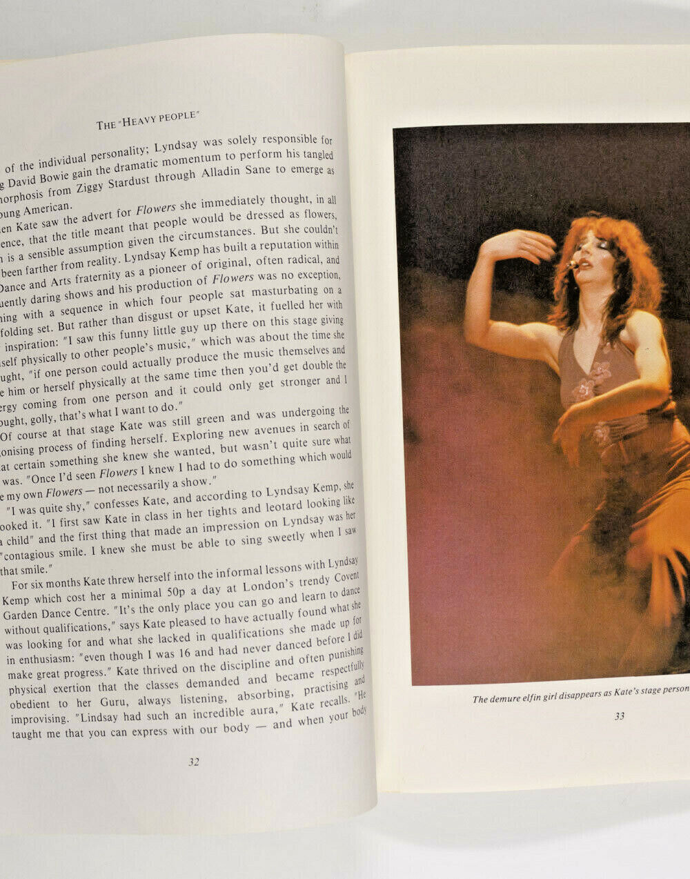 KATE BUSH An Illustrated Biography PAUL KERTON photo book ~ Running Up That Hill