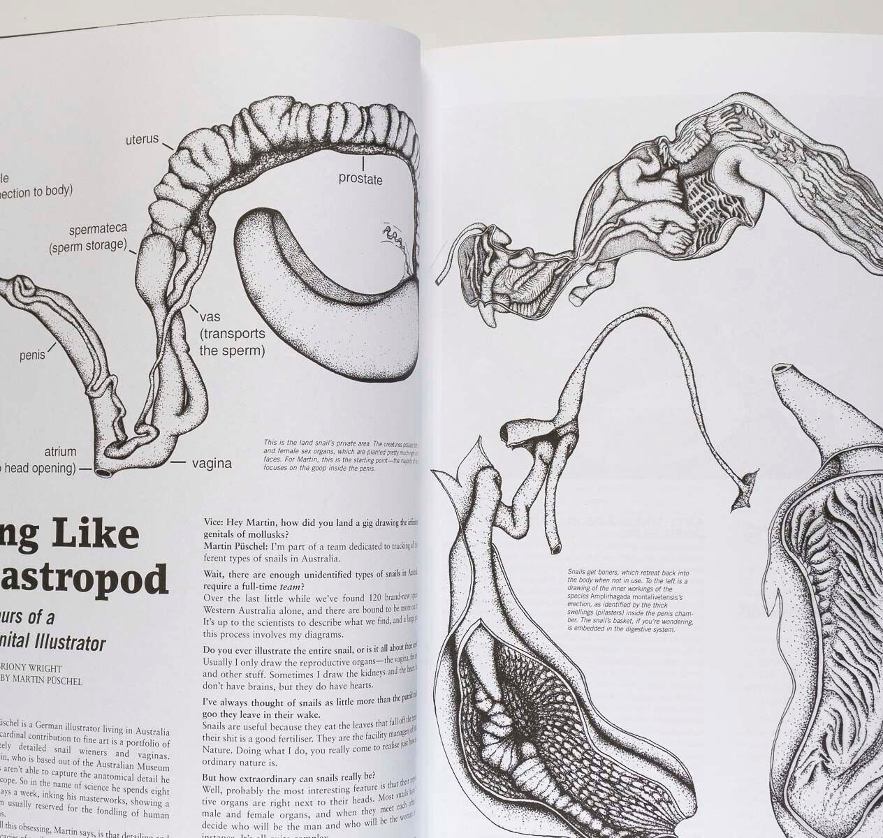 DASH SNOW tribute RYAN McGINLEY Nick Cave SID MARK Pablo Escobar ~ VICE magazine