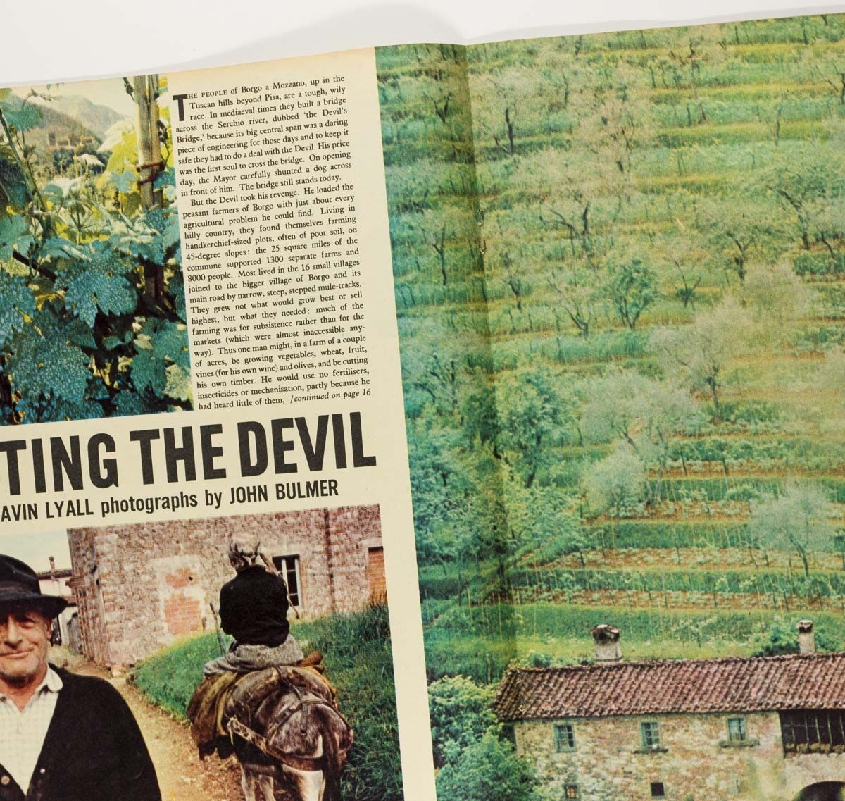 ROGER MAYNE John Bulmer in Italy CHRISTOPHER ANGELOGLOU SUNDAY TIMES magazine