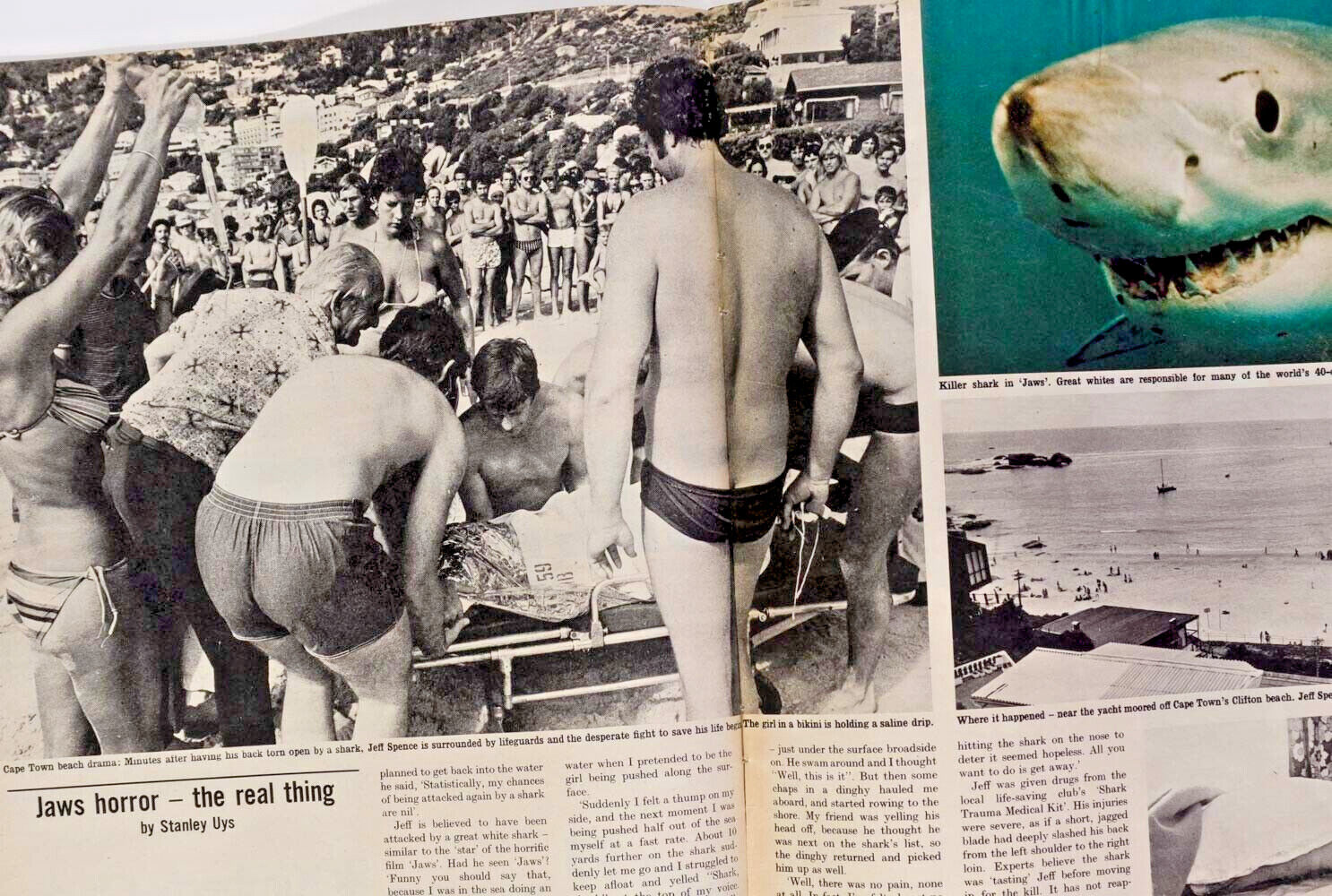 PUNK ROCK Sex Pistols MALCOLM McLAREN Johnny Rotten JOHN LYDON Observer magazine