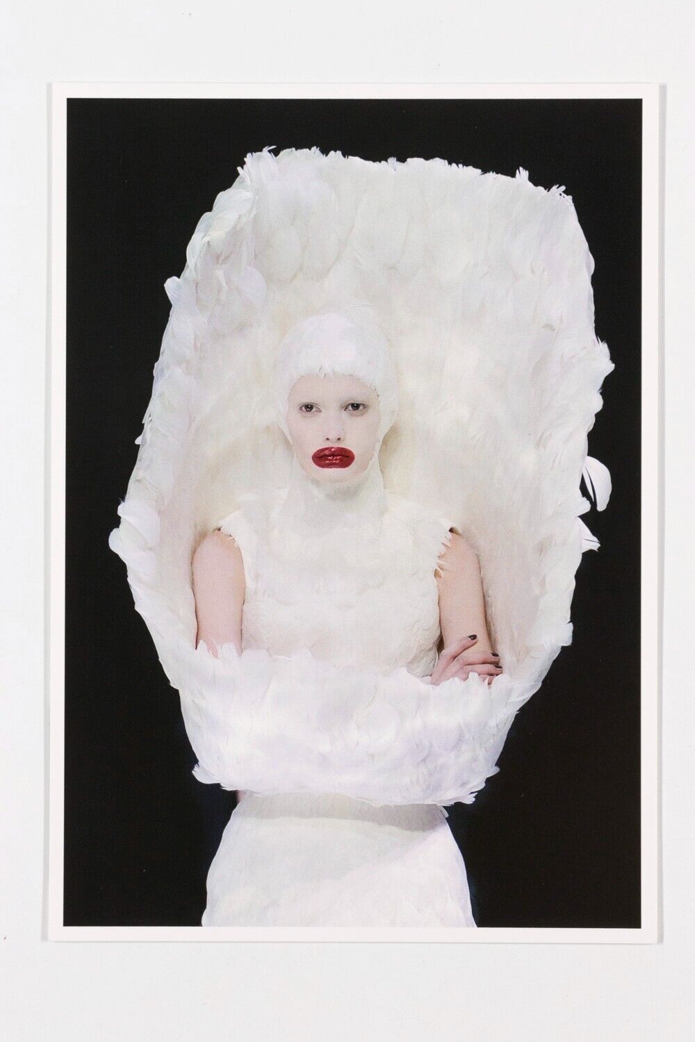 Alexander McQueen POSTCARD book V&A Exhibition HORN OF PLENTY Kate Moss 16 CARDS