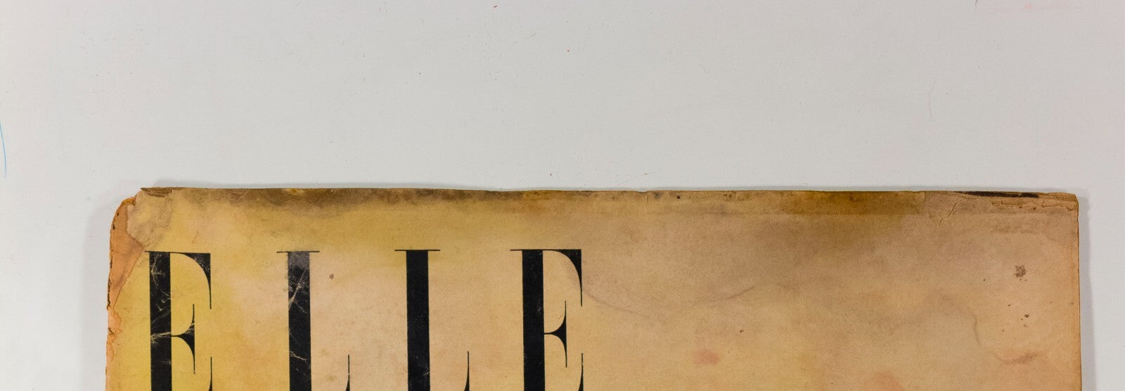 14 yr old ELIZABETH TAYLOR & cat FRENCH ELLE magazine vintage 40's Paris fashion