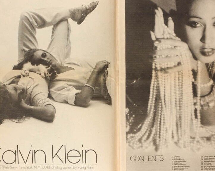 Cher ROBERT MAPPLETHORPE William Burroughs LINDA BLAIR Warhol INTERVIEW magazine