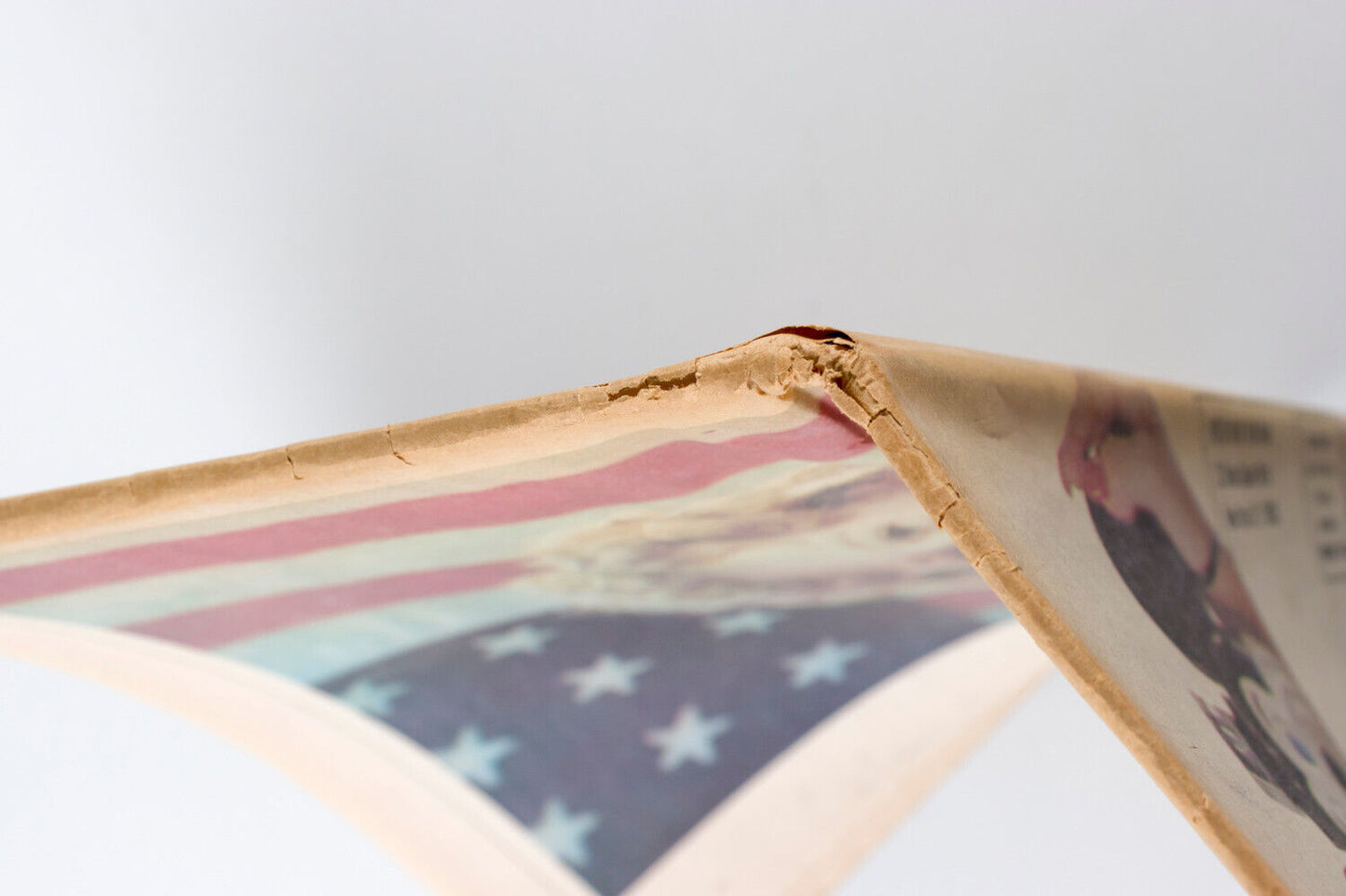 Liza Minnelli BIANCA JAGGER Alice Ormsby Gore NAOMI SIMS Zsa INTERVIEW MAGAZINE