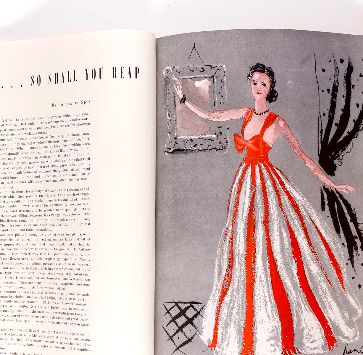 Dali MAN RAY Norman Parkinson AM Cassandre CONSTANCE SPRY Loretta Young HARPER'S