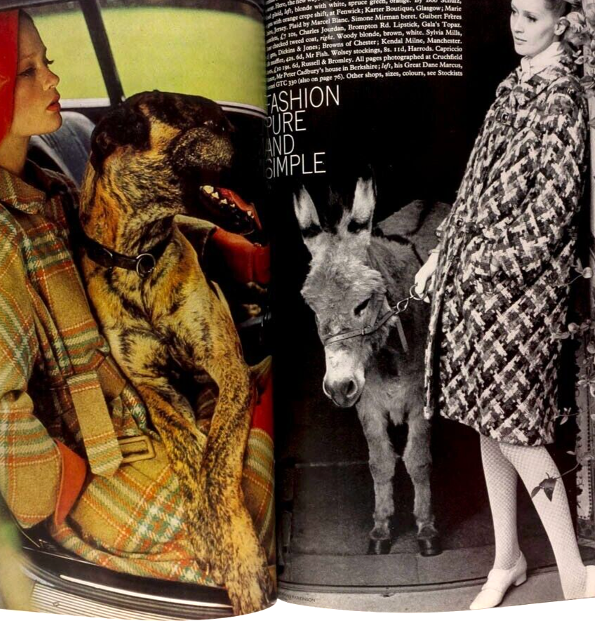 Van Rooy TWIGGY Veruschka VOGUE September 15 1967 Parkinson NEWTON Penelope Tree