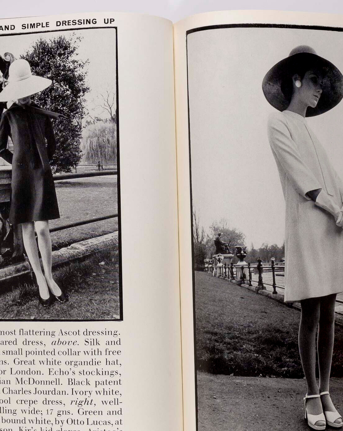 Celia TWIGGY Shrimpton MIA FARROW Bardot JULIE CHRISTIE Men FRANCOIS HARDY Vogue