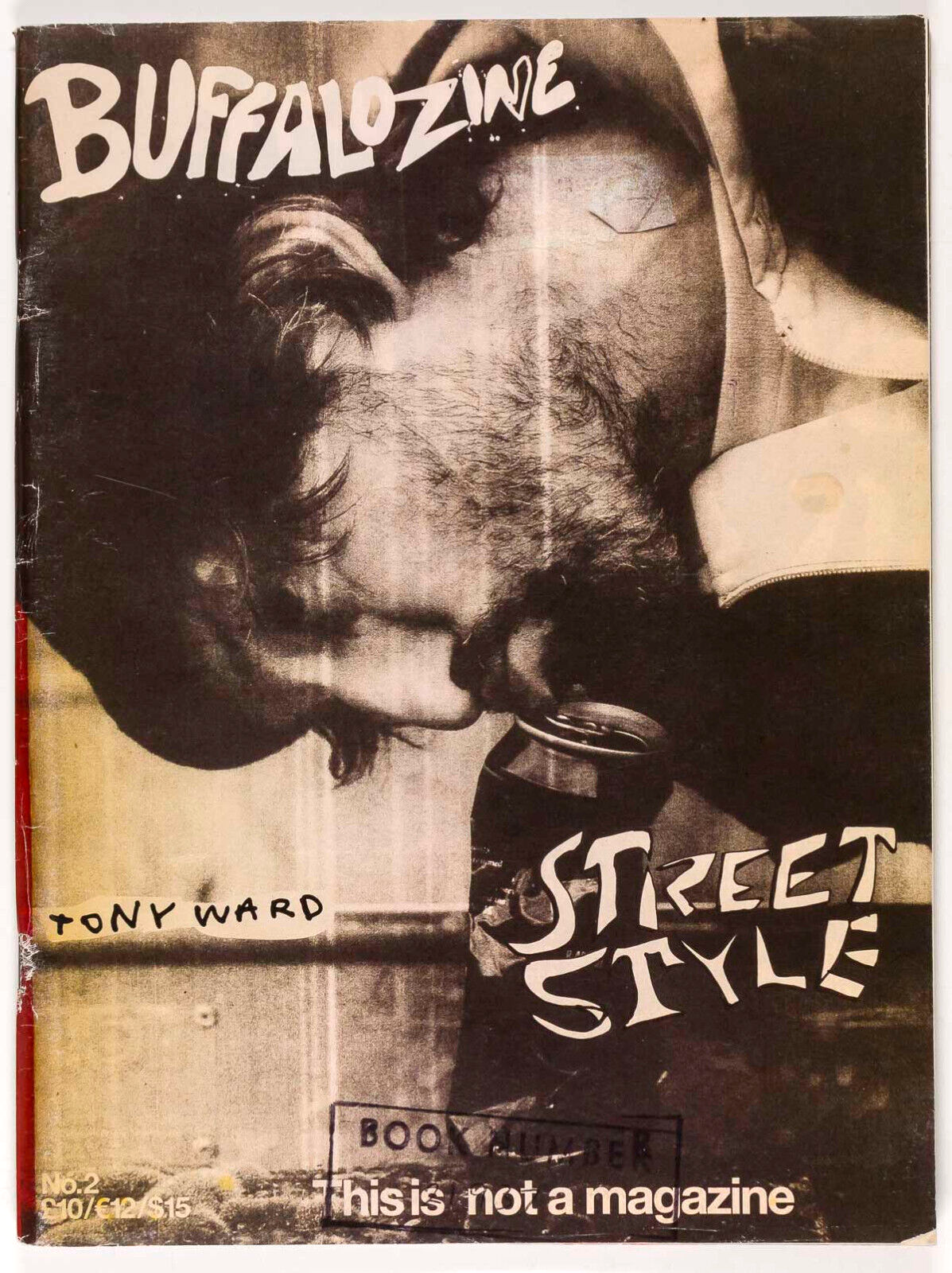 TONY WARD Duane Michals THE HARD ONS Raincoats CLEMENT CHABERNAUD Buffalo Zine 2