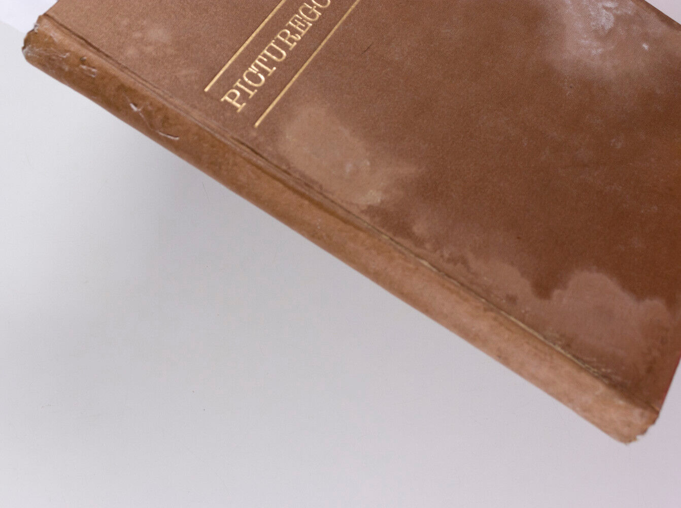 VIVIEN LEIGH Ann Sheridan GINGER ROGERS Picturegoer magazine BOUND VOLUME book