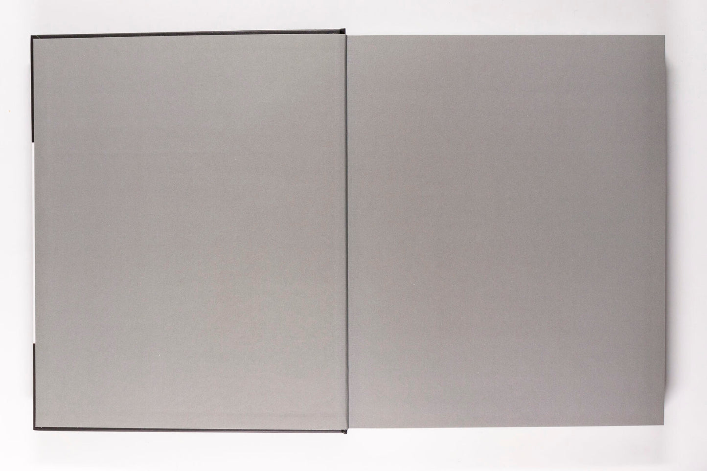 Signed by OLIVIERO TOSCANI 2015 book MAGNIFICENT FAILURES Colors BENETTON Rare