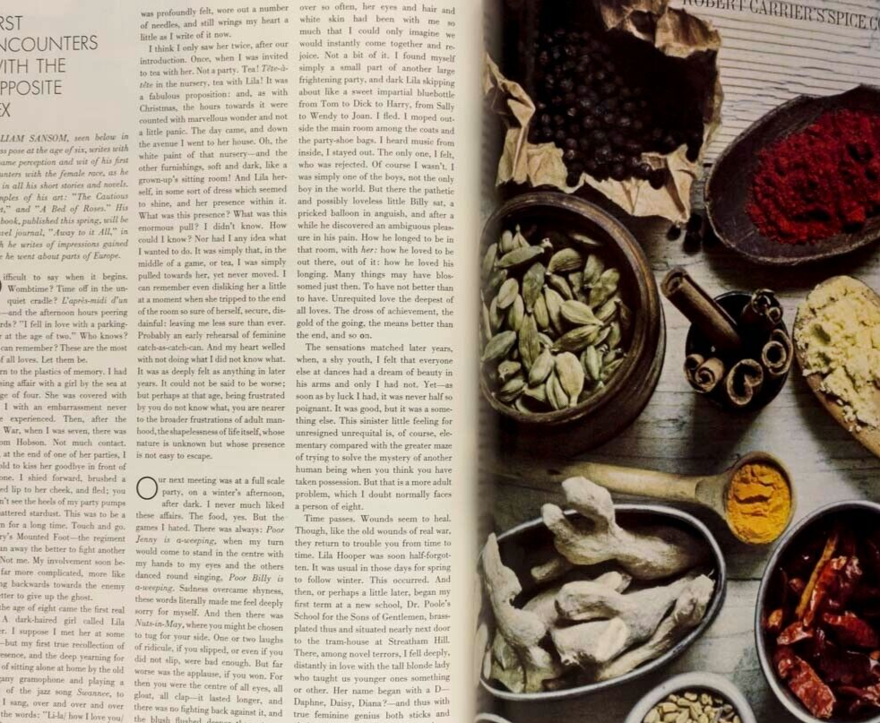 Paris HELMUT NEWTON Chrissie JEAN SHRIMPTON Courreges MARLA LANDI Vuillard VOGUE