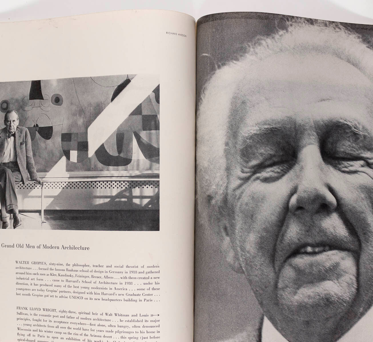 Evelyn Tripp FRANK LLOYD WRIGHT Kabuki AVEDON Corbusier HBC Chile HARPERS BAZAAR