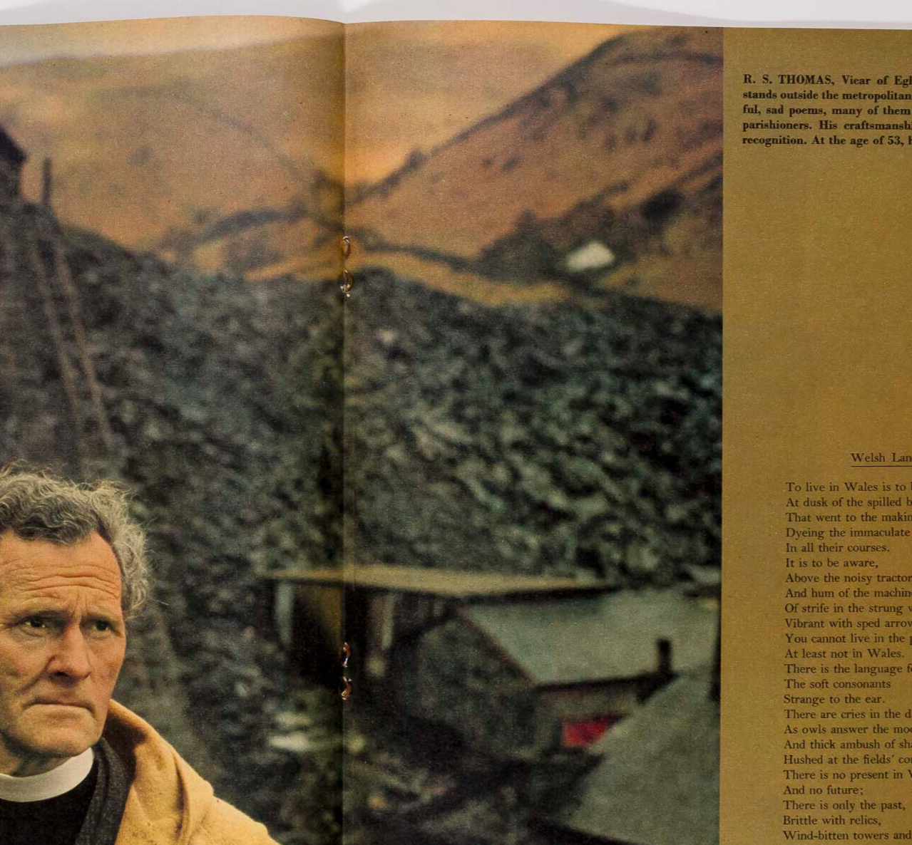 Rosemary Tonks THOM GUNN Ted Hughes PHILIP LARKIN Jane Bown UK Observer magazine