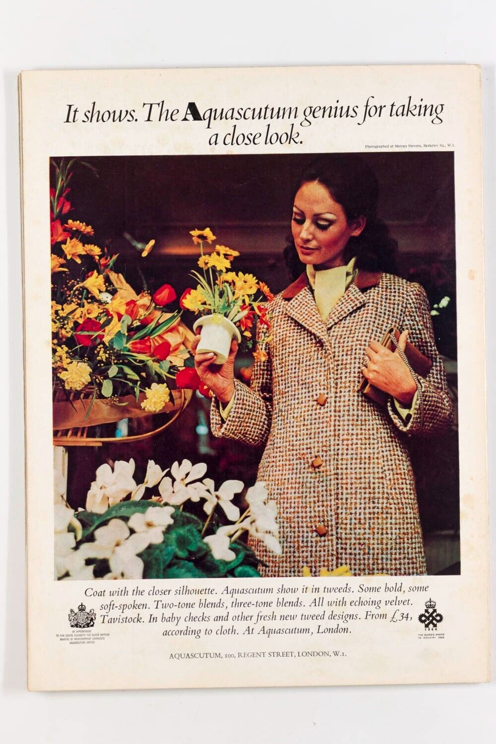 MAUDIE JAMES Guy Bourdin PATTIE Jenny BOYD Marimekko LINDA THORSON Rolex VOGUE