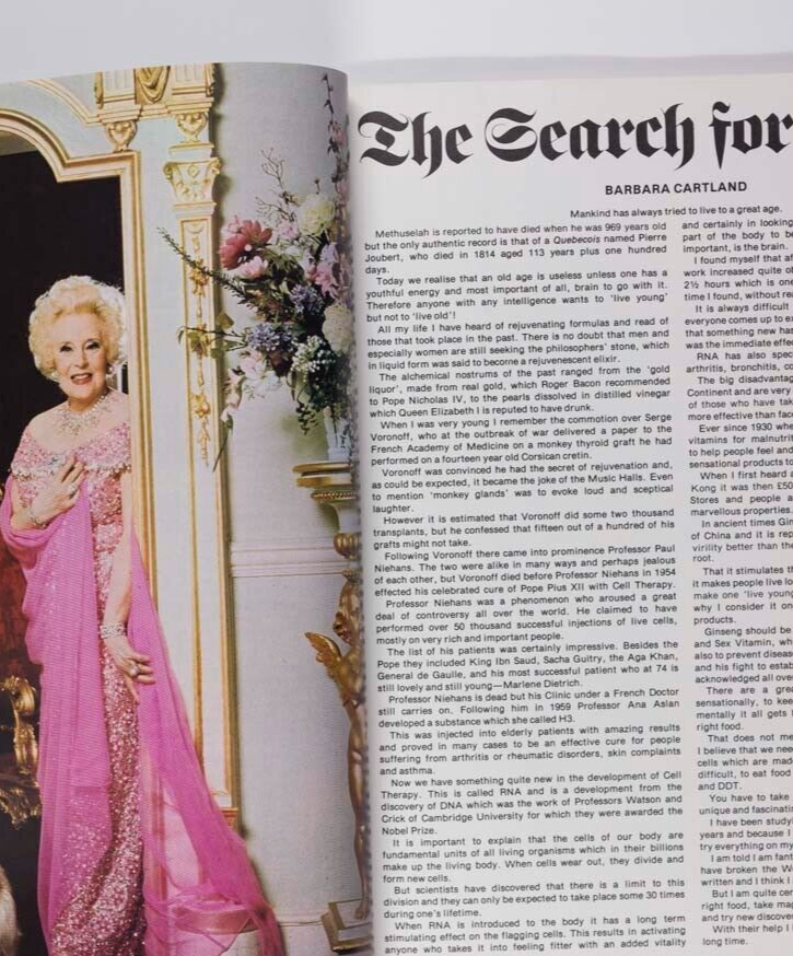 Allen Jones MAE WEST Enfield ghost PUNK Eddie Kidd PETER BLAKE Deluxe magazine 2