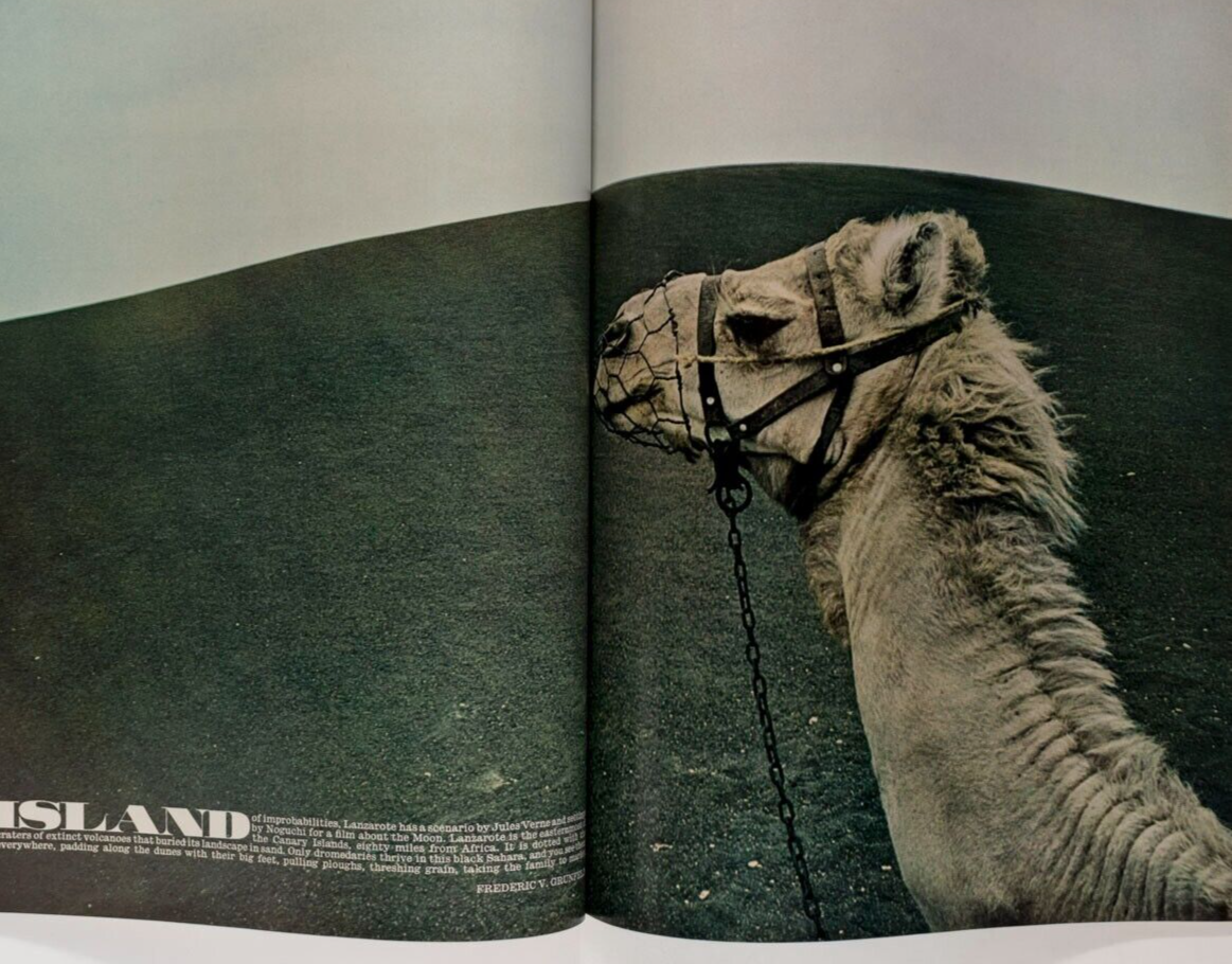 SAMANTHA JUSTE Jean Muir PATRICK HUNT Nik Cohn LANZAROTE Gucci ~ Queen magazine