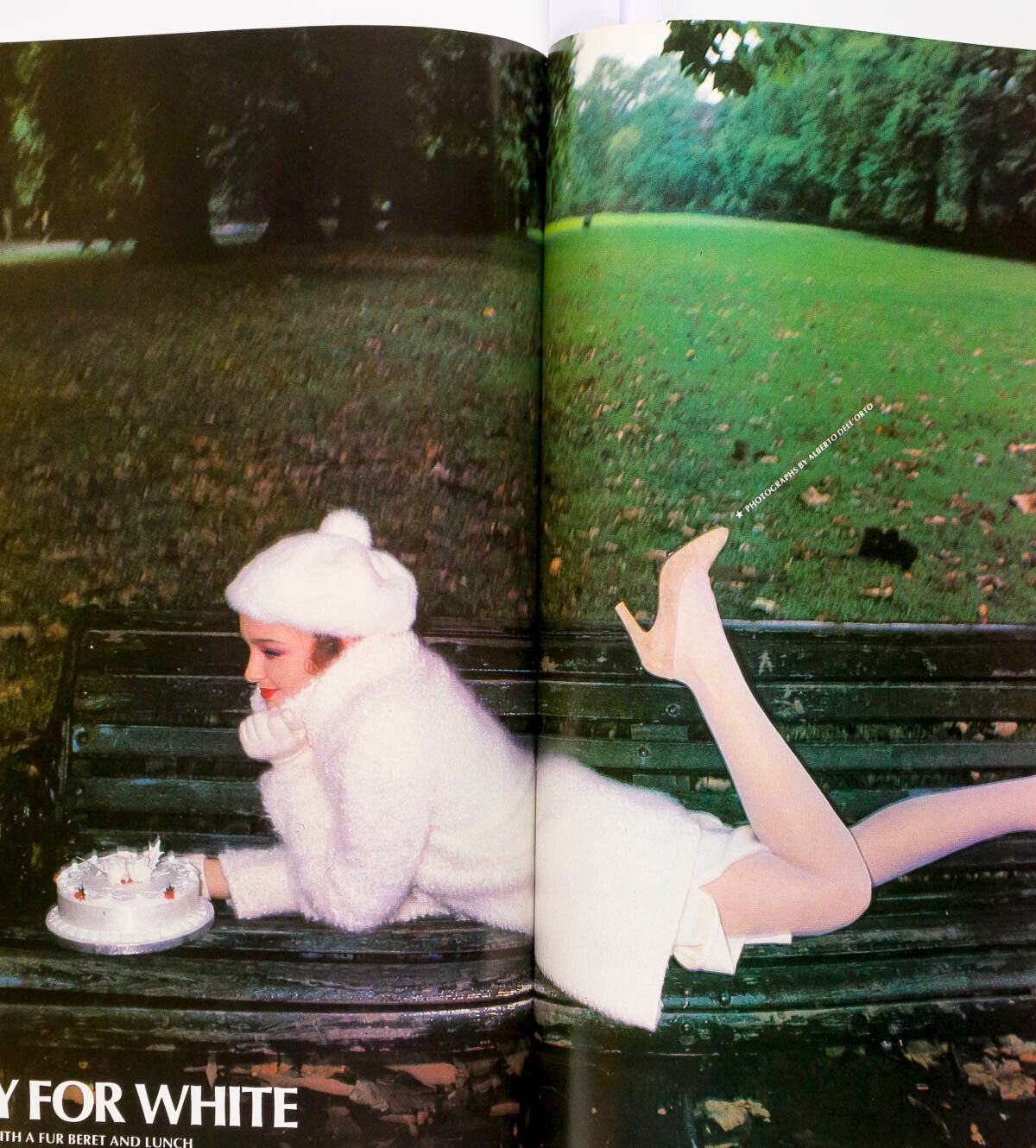 AMANDA LEAR Annie Lennox PATRICK PROCTOR Diana Cooper PAULA YATES Harper's Queen