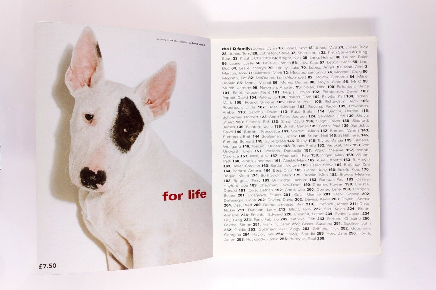 Alexander McQueen RAF SIMONS Helmut Lang ANITA PALLENBERG i-D Family magazine UK