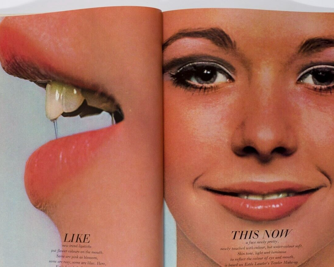 Celia TWIGGY Shrimpton MIA FARROW Bardot JULIE CHRISTIE Men FRANCOIS HARDY Vogue