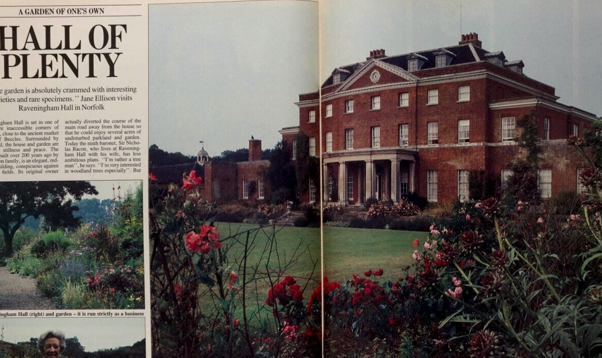 David Hockney PUTTNAM Vivien Leigh TELEGRAPH MAGAZINE August 1985 Cornel Lucas