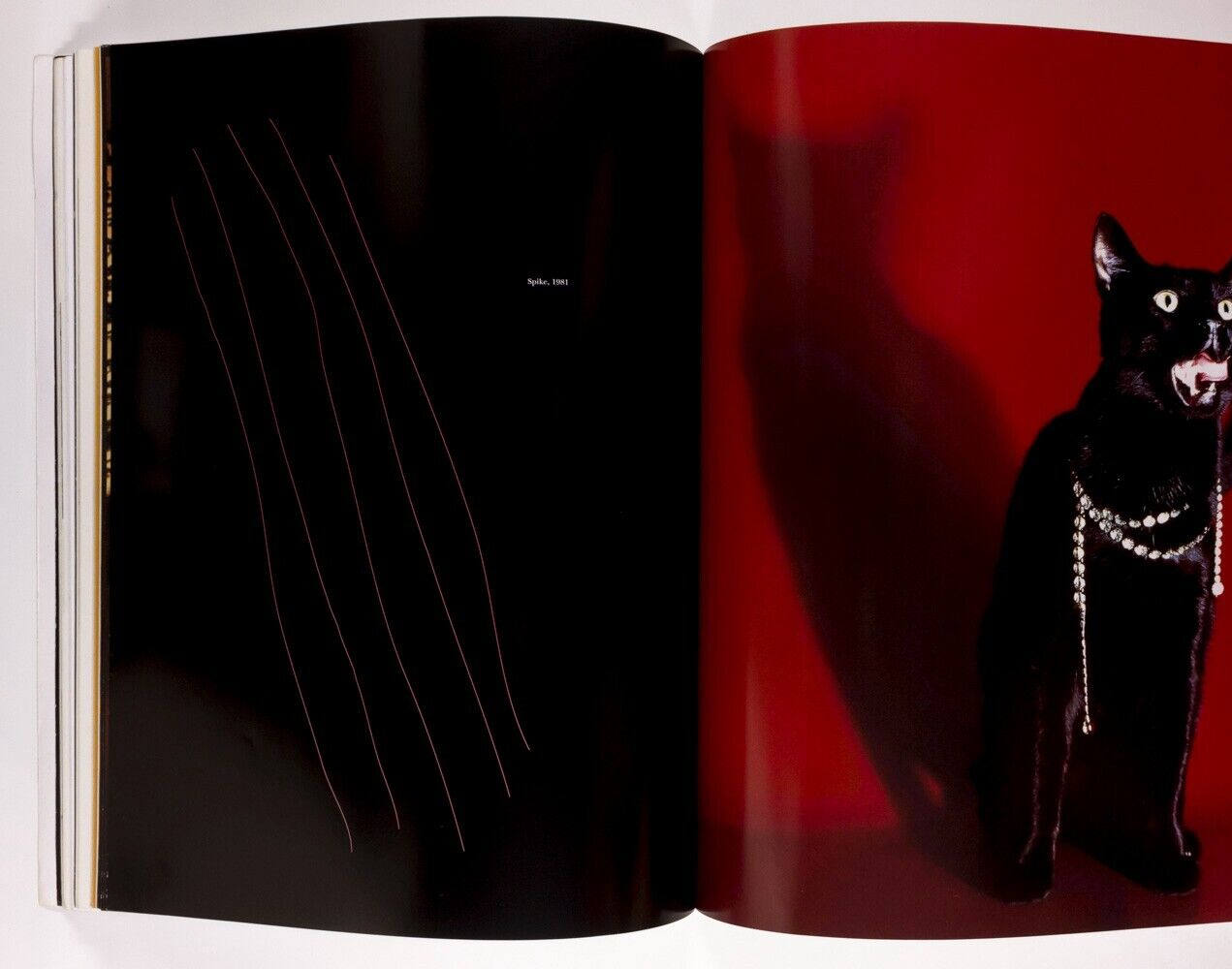 A Magazine Curated By MARTINE SITBON Sofia Coppola KIRSTEN OWEN Craig McDean # 5