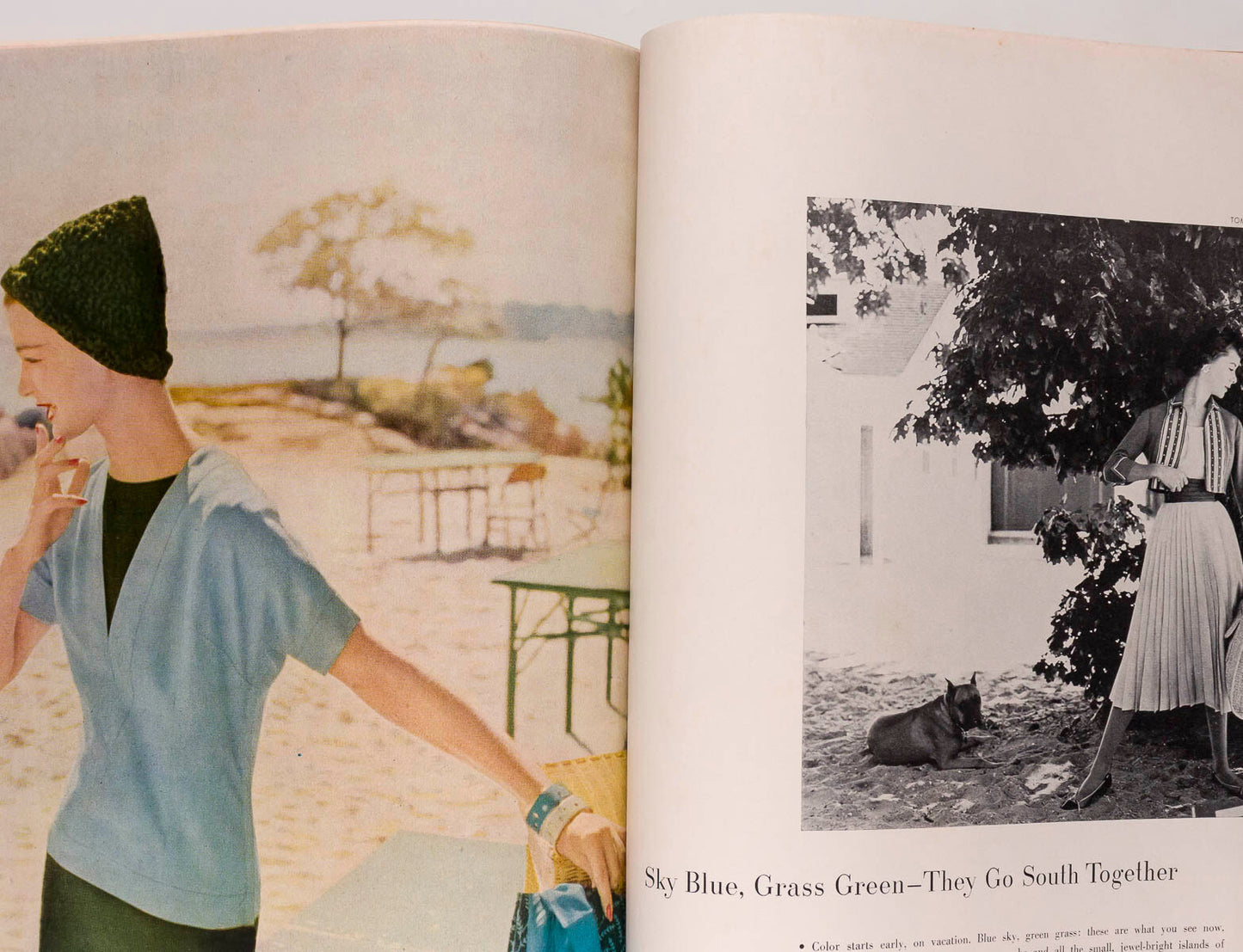 Andy Warhol SUNNY HARNETT Avedon HARPERS BAZAAR December 1954 GRACE KELLY