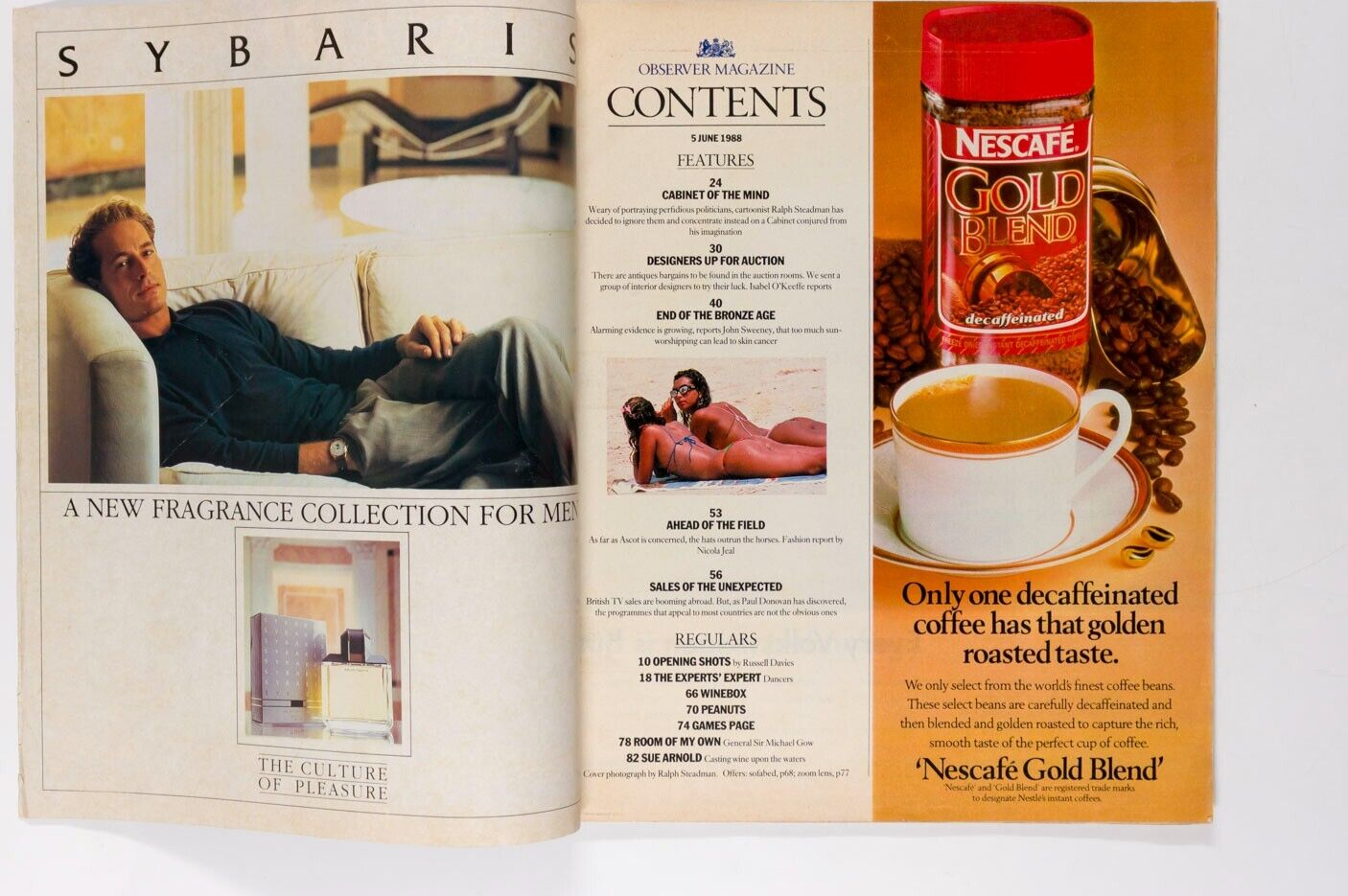 Ralph Steadman CABINET OF THE MIND Observer magazine June 1988 Northern Ireland