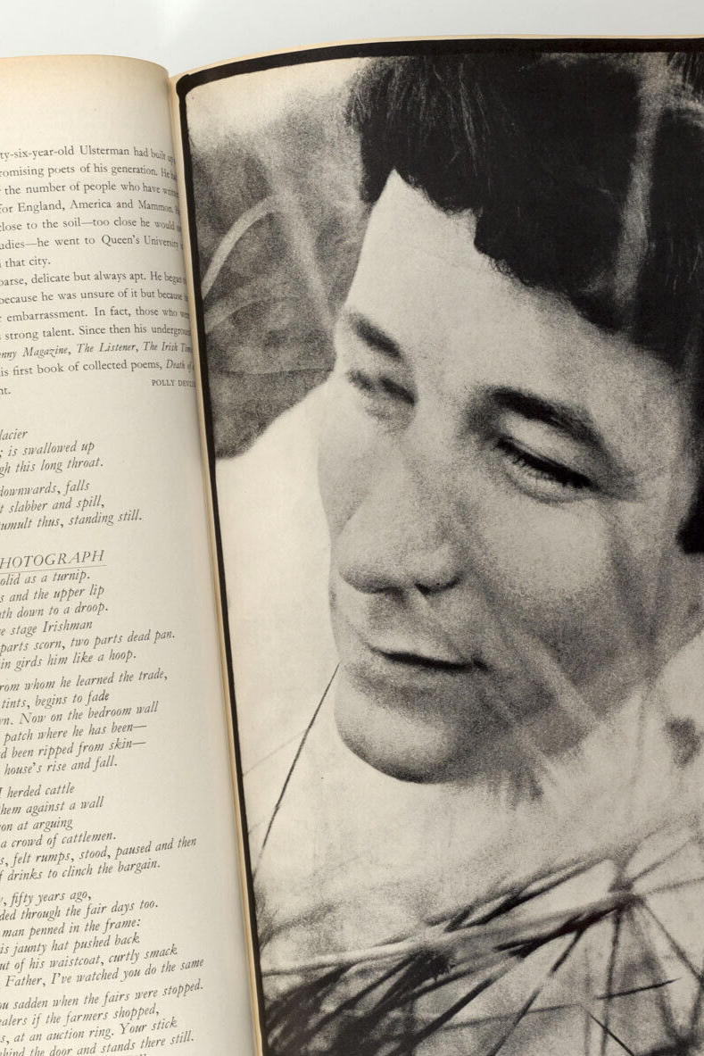 NORMAN PARKINSON Helmut Newton BERT STERN Klimt PENN Veruschka YSL Bailey  VOGUE