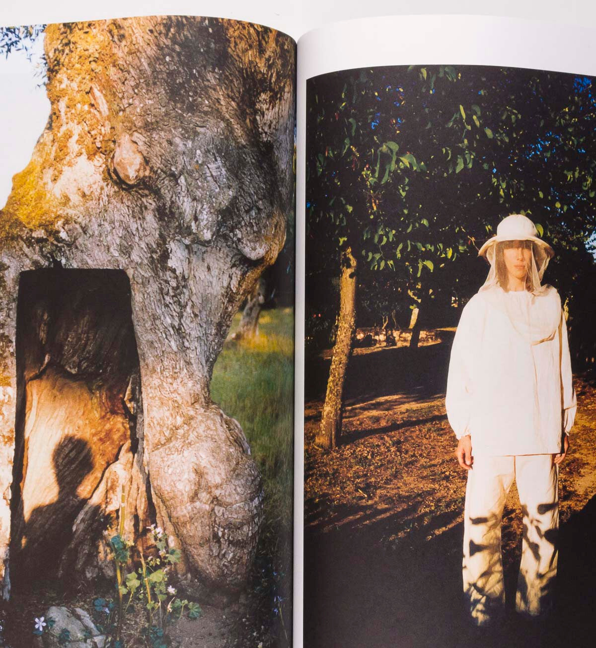 Selena Forrest PAMELA ANDERSON Jamie Bochert XR Eco Farm MORE OR LESS magazine 5