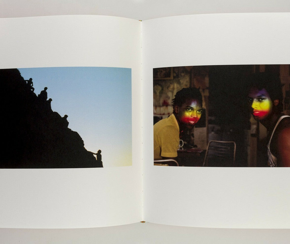 Signed ROGER STEFFENS photo book THE FAMILY ACID Limited Edition 1000 1st 2015