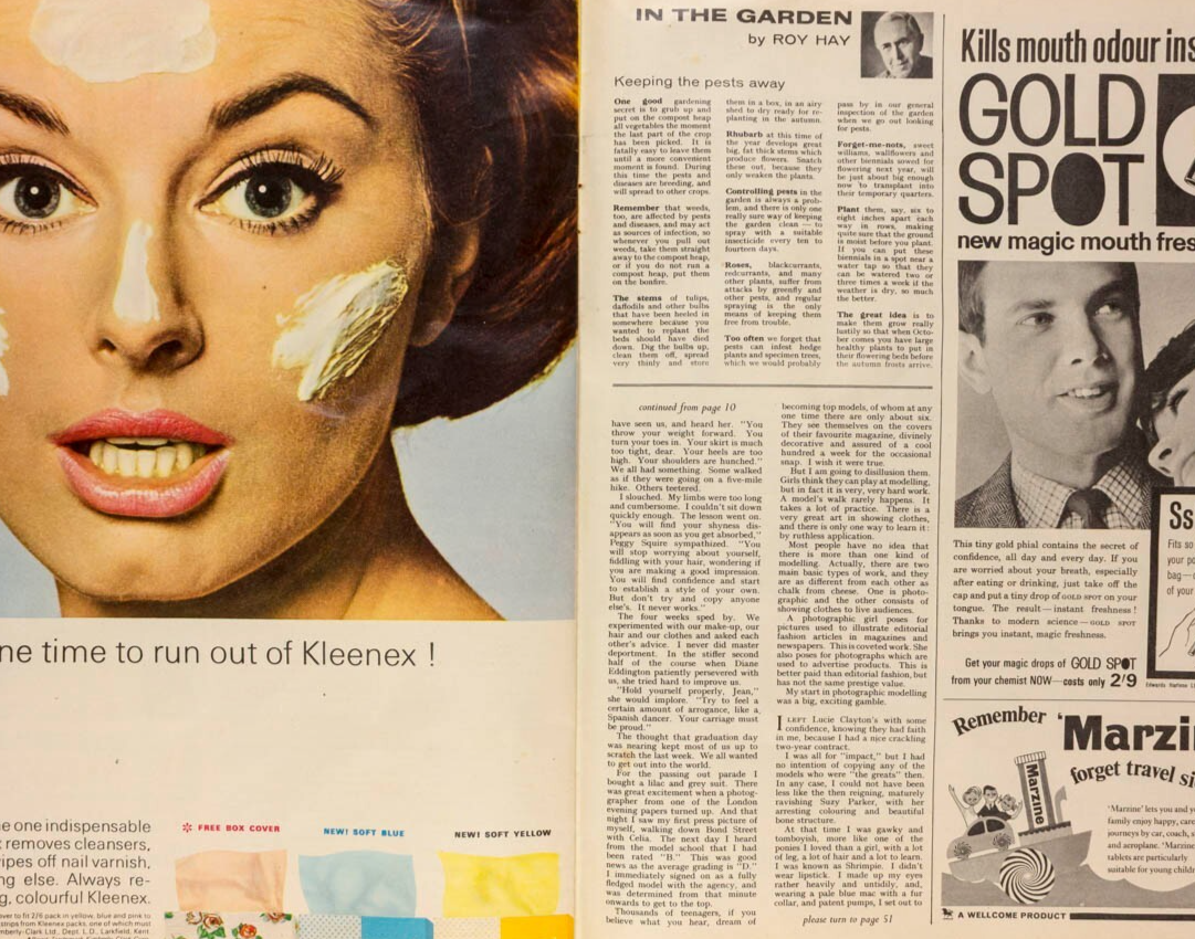 Jean Shrimpton TANIA MALLET Lake District WOMAN magazine 1964 PHYLLIS A WHITNEY